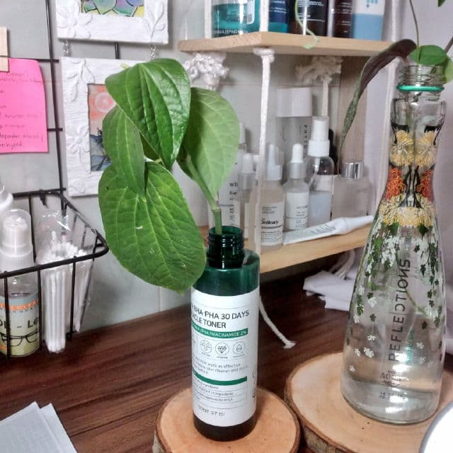 Some By Mi AHA BHA PHA 30 Days Miracle Toner review photo by yournoctiphany