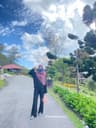 wawao user profile picture