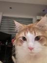 percythecat user profile picture