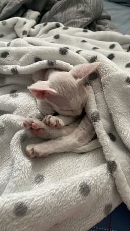 Jennifersbeautycorner