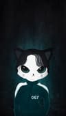 aialin user profile picture