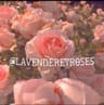 lavenderetroses profile picture