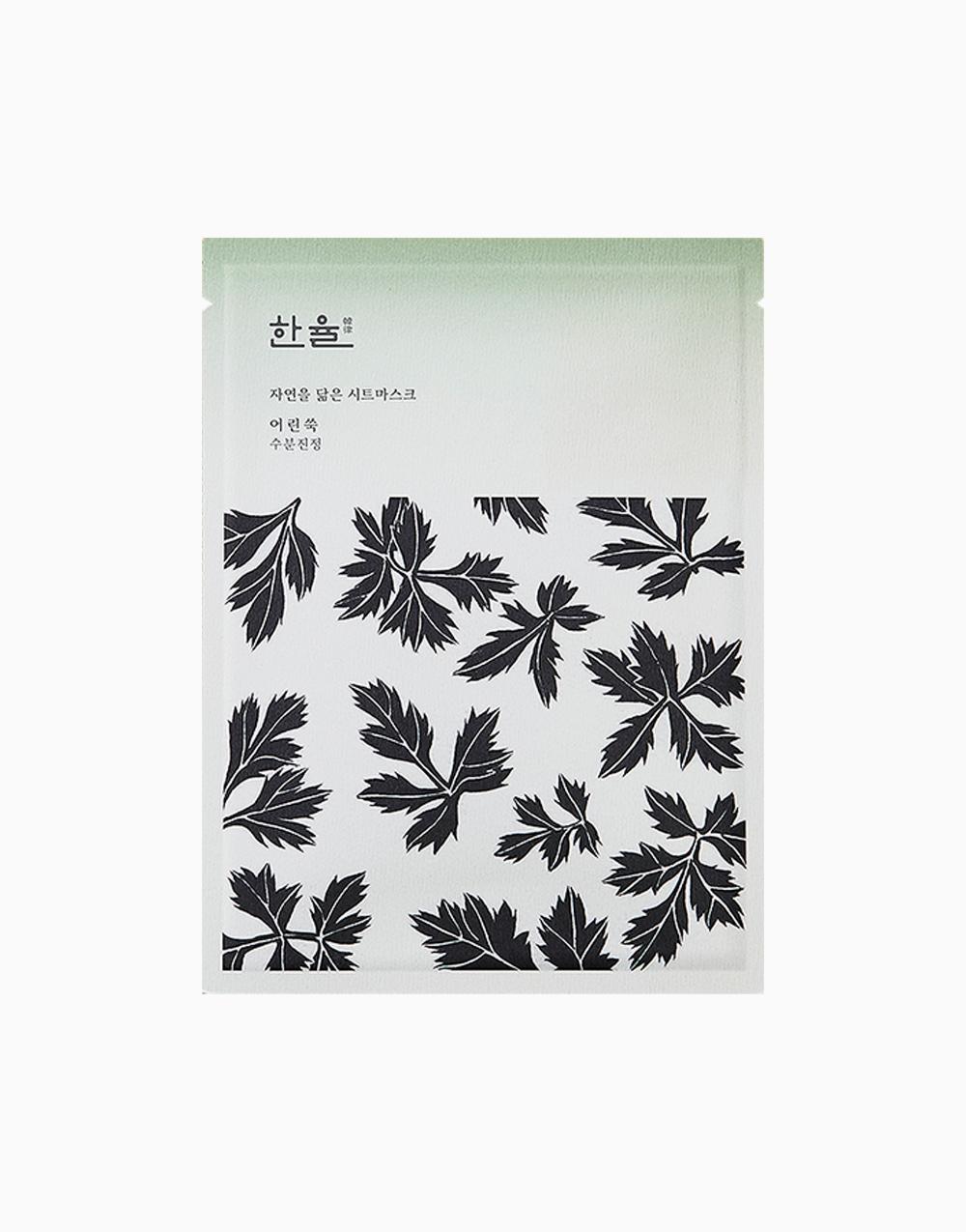 Nature In Life Sheet Mask (Pure Artemisia)