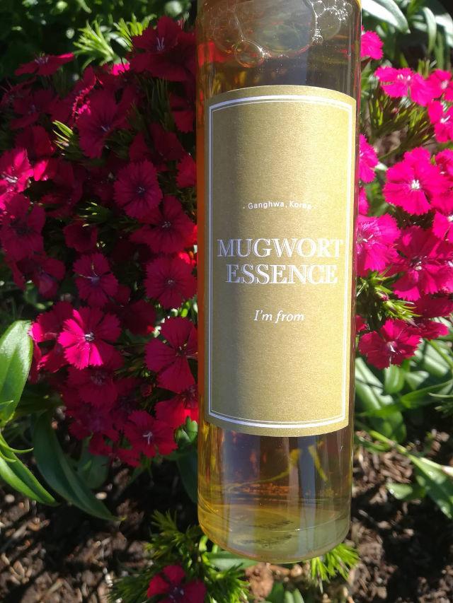 Mugwort Essence product review
