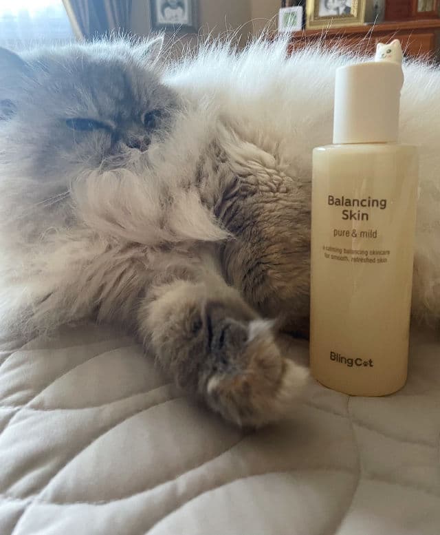 TONYMOLY Bling Cat Balancing Skin review photo by perfectlyimperfect