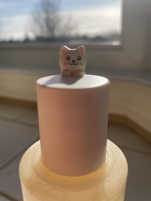 TONYMOLY Bling Cat Balancing Skin review photo by perfectlyimperfect