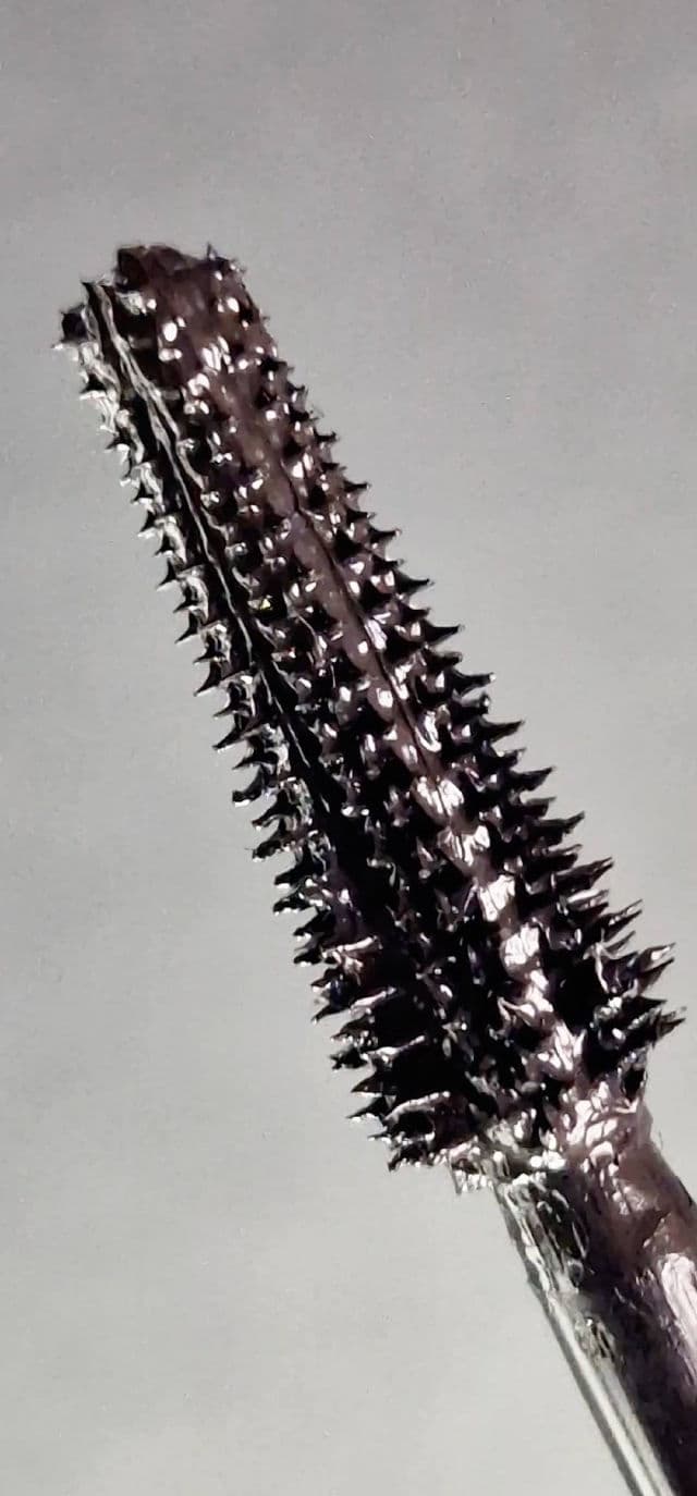 L'Oreal Paris Voluminous Panorama Washable Mascara review photo by neneferroni