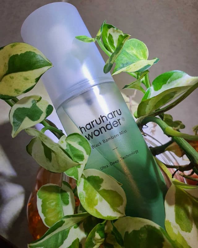 HaruHaru WONDER Black Bamboo Mist review photo by serene1126