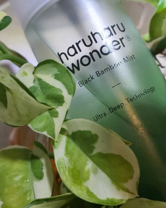 HaruHaru WONDER Black Bamboo Mist review photo by serene1126