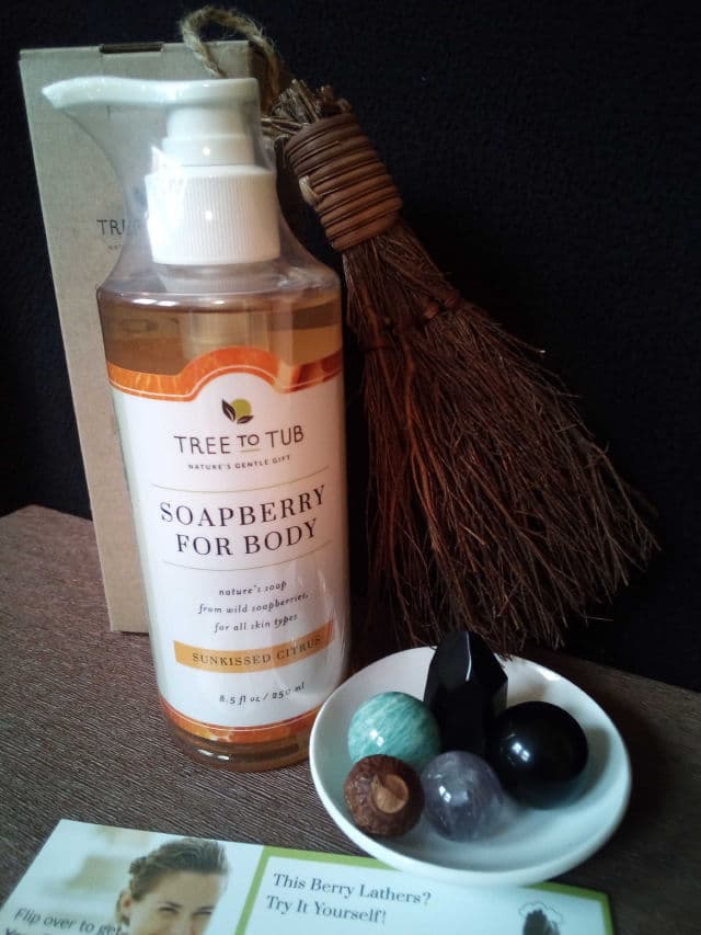 Tree To Tub Soapberry For Body - Raw Unscented review photo by staceymeows