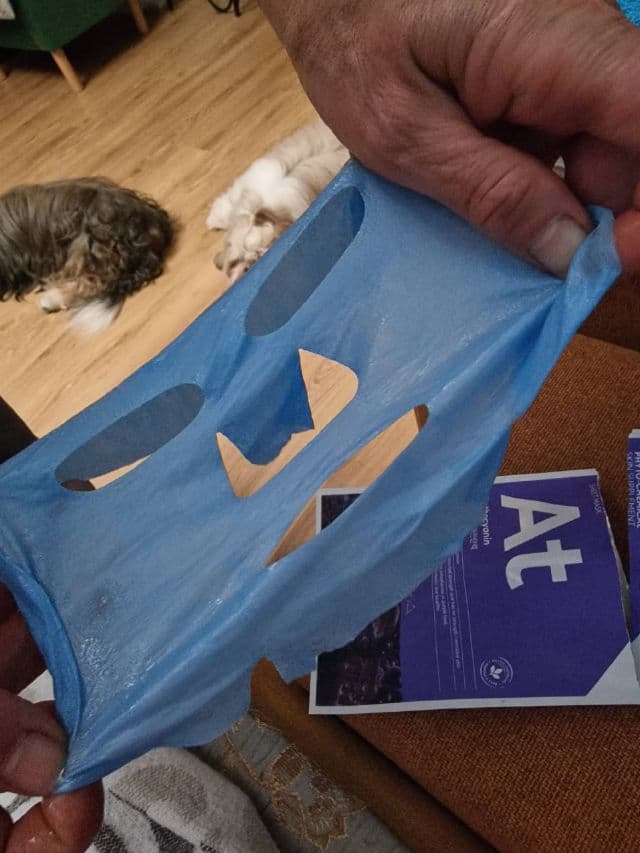 MISSHA Phytochemical Skin Supplement Sheet Mask review photo by Immortelle