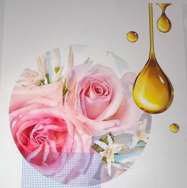 Olay Indulgent Moisture Rose & Cherry Body Wash review photo by Spicesofbeauty