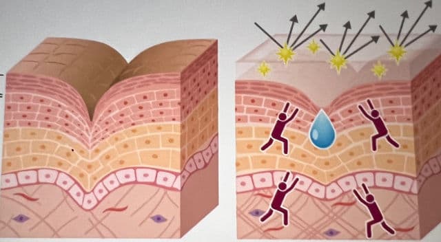 Kose Wrinkle Double Repair review photo by Spicesofbeauty