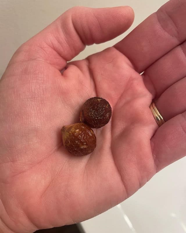 Tree To Tub Soapberry For Body - Raw Unscented review photo by youbyou