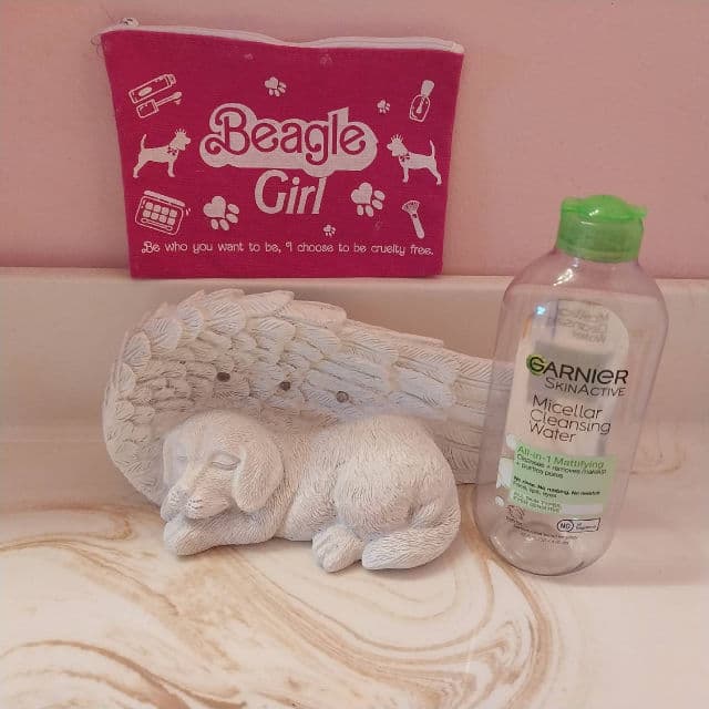 Garnier Nutritioniste SkinActive Micellar Cleansing Water All-in-1 Mattifying review photo by BurgundySpider