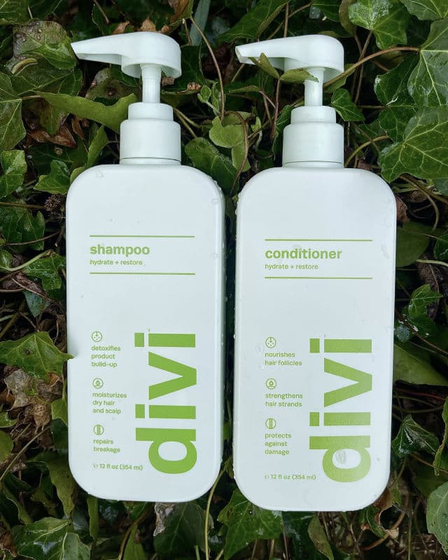 Divi Conditioner review photo by Mely23