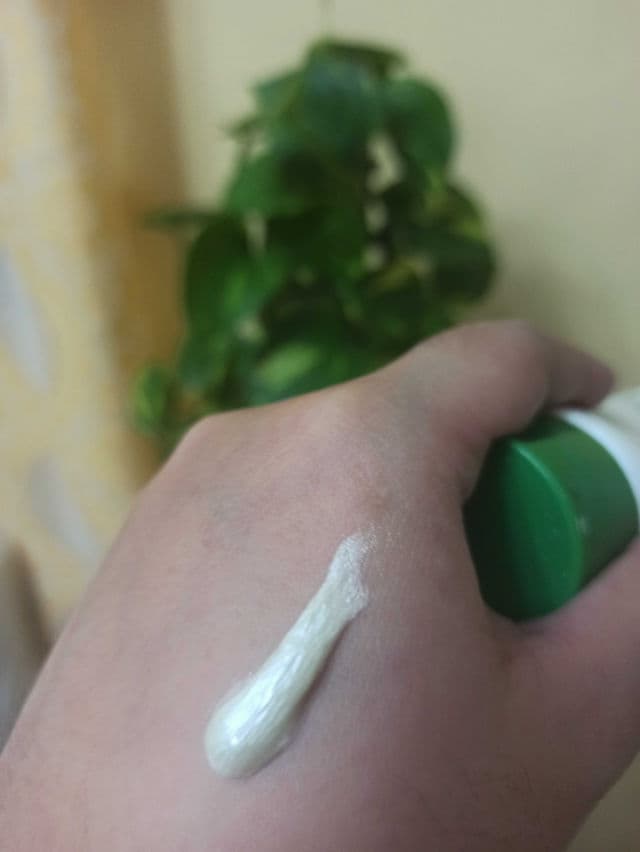 RA & Gowoori Real Kill 9.9 Green Tea Foam Cleanser review photo by xtintina