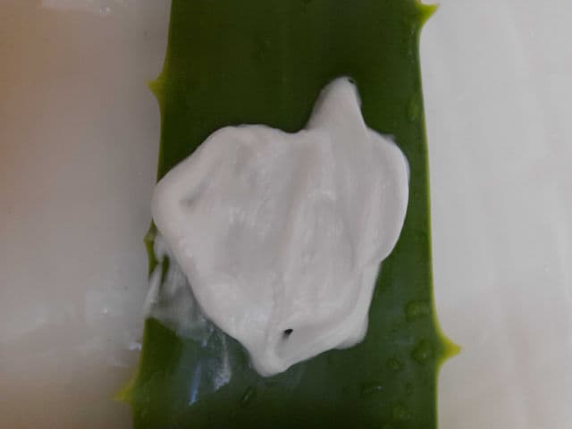 THE FACE SHOP Herb Day 365 Master Blending Foaming Cleanser Aloe & Green Tea review photo by Chinggy