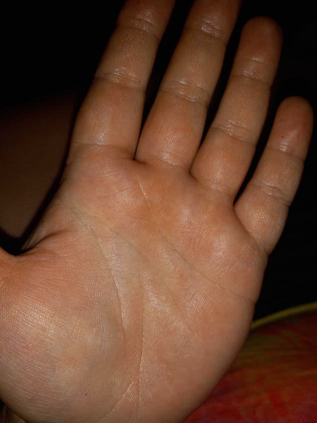 Refreshments Luscious Hand Cream - Citrus Spritz review photo by DiscoveringDaily