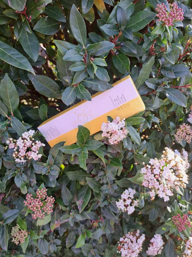 Resh Lab UV Shield Natural Sunscreen SPF50+ PA++++ review photo by milanamulana