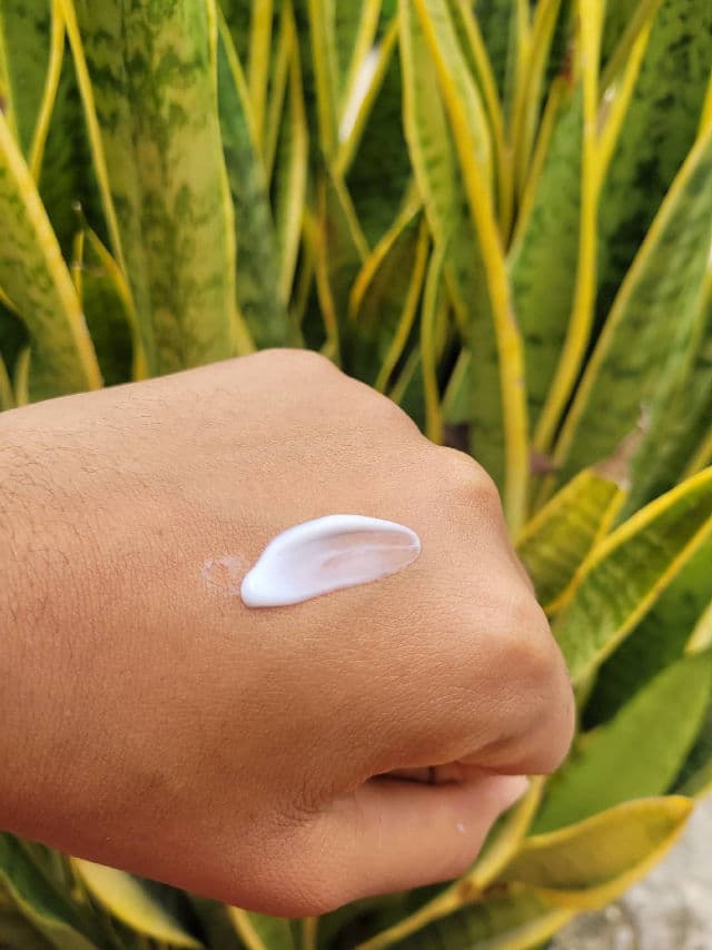 Bring Green Tea Tree Cica Soothing Cream review photo by skinloverxoxo