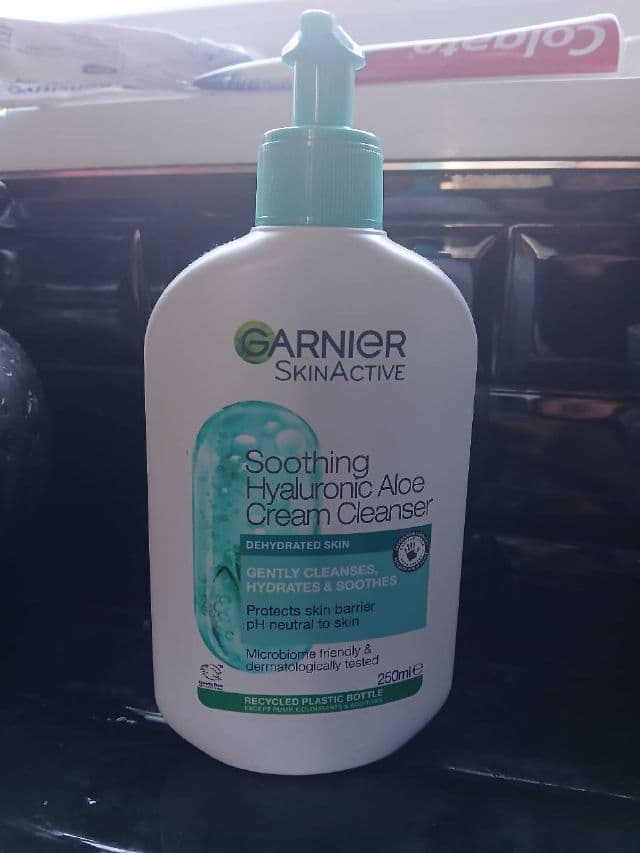 Garnier SkinActive Clean+ All-In-One Gentle Cleanser review photo by Spectra369