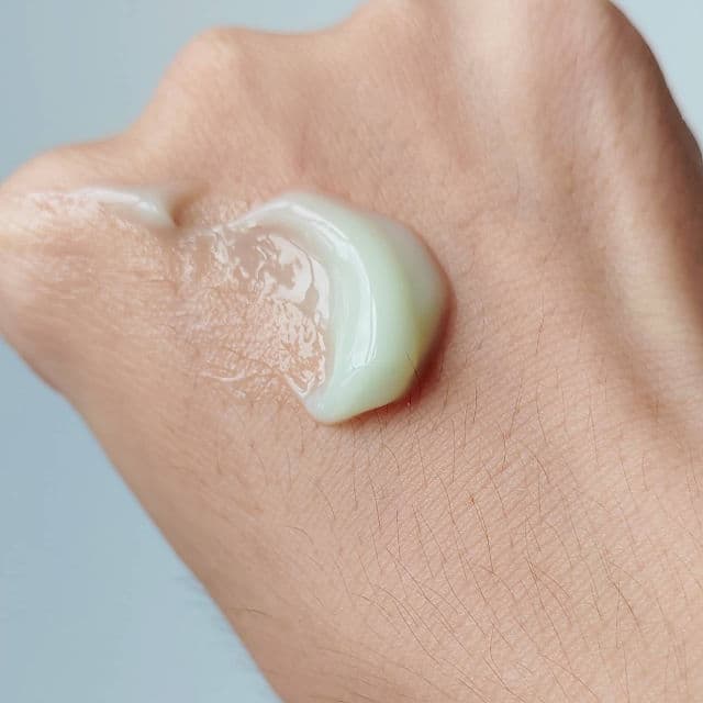 Genabelle Cabbage 73 Calming Cream review photo by kaoriskincarejournal