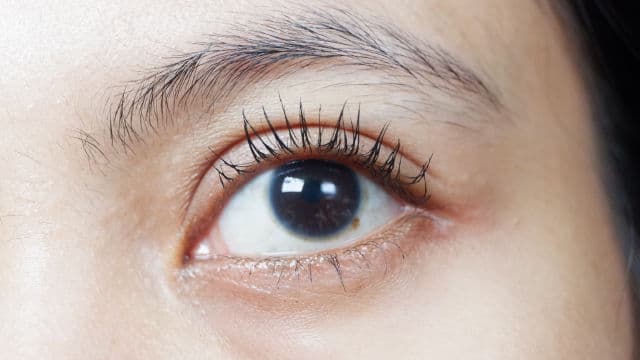 Pinkflash Lengthening Waterproof Micro Brush Mascara review photo by kurniaashari