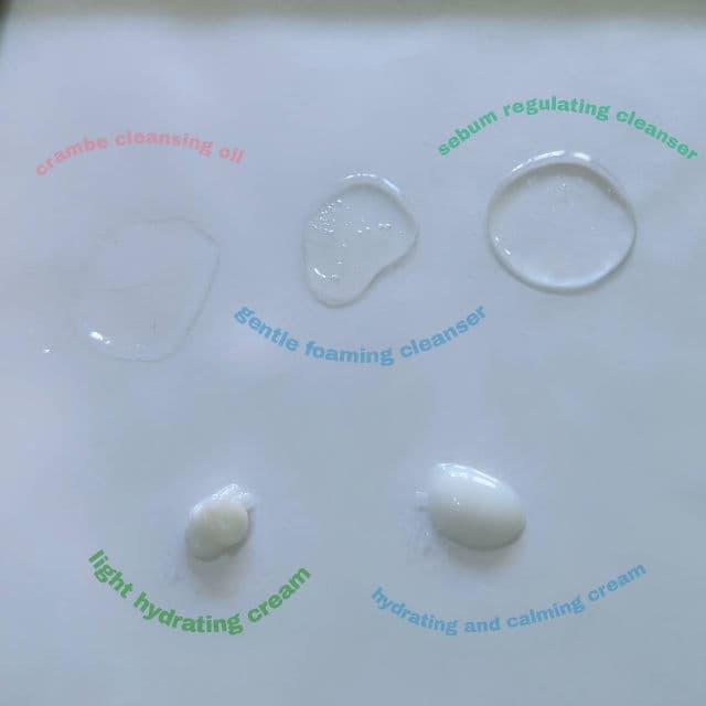 Skinphoria Gentle Foaming Cleanser review photo by hxmesick