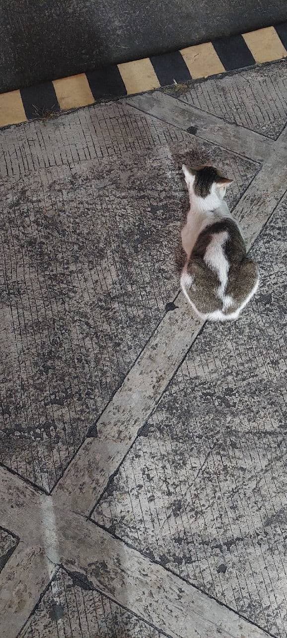 GRWM Cosmetics Milk Tint review photo by Gray17