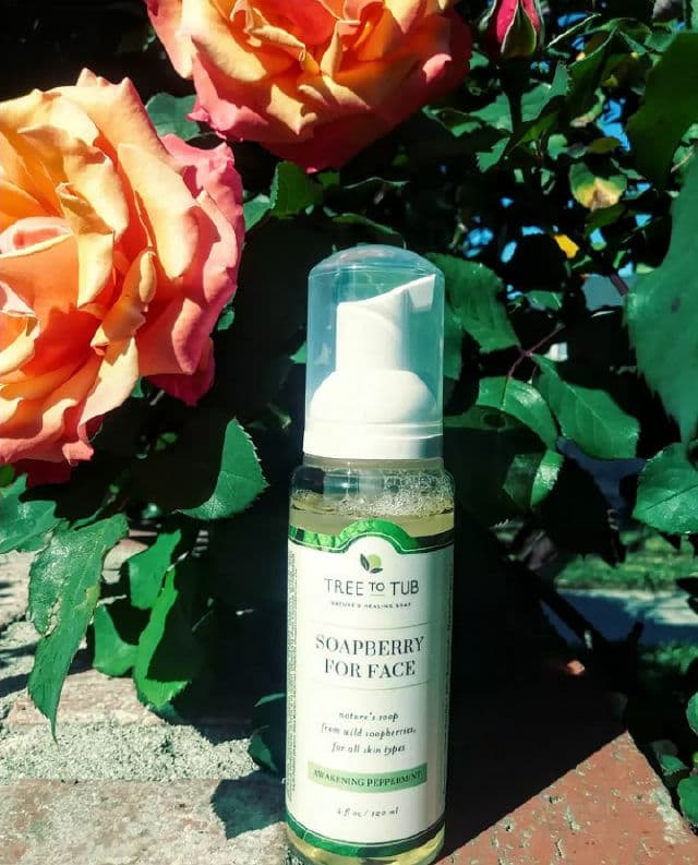 Tree To Tub Soapberry Facial Cleanser - Awakening Peppermint review photo by Lorelei
