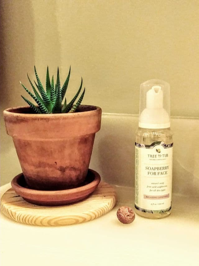 Tree To Tub Soapberry for Face Relaxing Lavender review photo by Lorelei