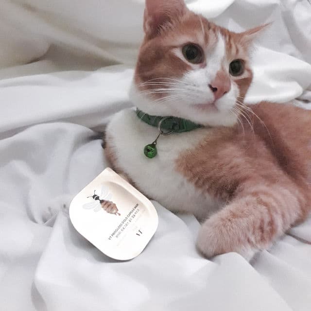 VT COSMETICS Progloss Gold Capsule Mask review photo by Ziyah