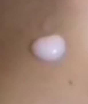 Nizen Collagen Noni Cream review photo by callistataylor