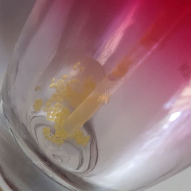 L'Occitane Immortelle Overnight Reset Serum review photo by ciszkaay