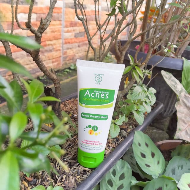 Mentholatum Acnes Creamy Face Wash review photo by fadaychickin