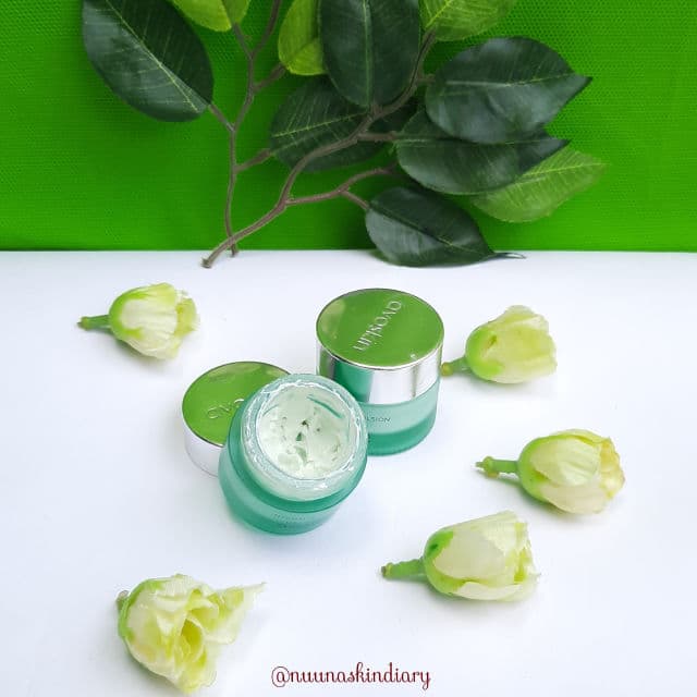 Avoskin Intensive Divine Day Cream review photo by nuunaskindiary